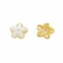 五葉花黃色貝殼珍珠母 9.5毫米  孔徑 0.8毫米   12個/包