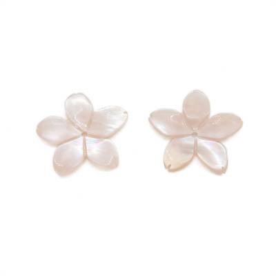 五葉花粉色珍珠母貝殼 13.5毫米  孔徑 0.8毫米  8個/包
