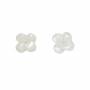 Perles de nacre blanche Clover , 8 mm, trou 0.9mm, 20pcs/pack