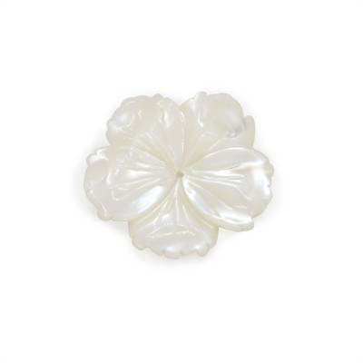 Coquille de nacre blanche en forme de fleur, 27mm, trou 1mm, 2pcs/pack