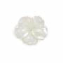 White Mother-of-pearl Shell Flower Charm Beads 27mm Hole 1mm 2pcs/Pack