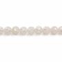 Perles de mosaïque en coquillage naturel, rond, diamètre 8mm, trou 1mm, environ 50 perles/brin 15~16"