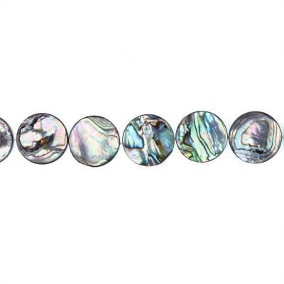 Rouleaux de perles de coquille d'Abalone/Paua, rondes et plates, diamètre 20 mm, trou 0.8 mm, environ 20 perles/rang, 15 ~ 16 "