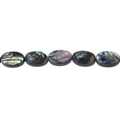 Perles de coquillages d'Abalone/Paua de forme ovale, taille 8x12mm, trou 0.8 mm, environ 33 perles/brin, 15 ~ 16''