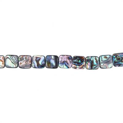 Collier de perles de coquille d'Abalone/Paua, carré, taille 12x12mm, trou 0.8mm, environ 33 perles/collier, 15 ~ 16"