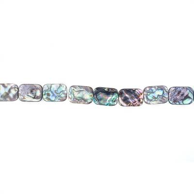Rangée de perles de coquille d'Abalone/Paua, Rectangulaire, Taille 18x25 mm, Trou 0.8 mm, Environ 16 perles/rang, 15 ~ 16 ''