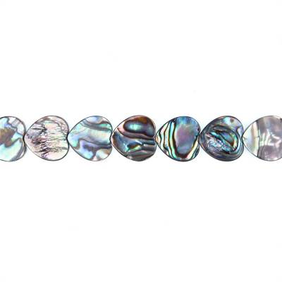 Rouleaux de perles de coquille d'Abalone/Paua, Coeur, Taille 16x16 mm, Trou 0.8 mm, Environ 26 perles/rang, 15 ~ 16"