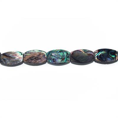 Perles de coquille d'Abalone/Paua, Ovale, Taille 13x18 mm, Trou 1 mm, environ 22 perles/corde, 15 ~ 16"