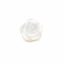 Perles semi-percées en nacre naturelle blanche Rose, 8mm, trou 1mm, 20pcs/pack