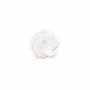 白色薔薇形マザーオブパール　貝殻 8mm 　穴長径1.0mm　x 20個/パック