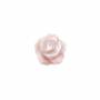 粉色珍珠母貝殼玫瑰花 8毫米  孔徑 1毫米  10個/包