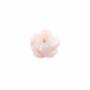 Perles de nacre rose naturelle demi-percée rose, 8mm, trou 1mm, 10pcs/pack