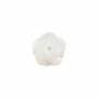 Perles semi-percées en nacre blanche naturelle à motif de rose, 10mm, trou 1mm, 10pcs/pack