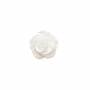 Weiße Muschel Perlmutt Rose Größe10mm Loch1mm 10Stück/Packung