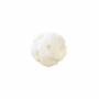 Weiße Muschel Perlmutt Rose Größe12mm Loch1mm 12Stück/Packung