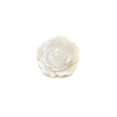 白色珍珠母貝殼玫瑰花 12毫米  孔徑 1毫米   12個/包