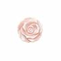 Perles de nacre rose rose, 22mm, trou 1mm, 2pcs/pack