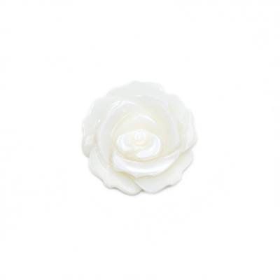 Rose de nacre blanche Taille25mm Trou1mm 2pcs/Pack