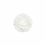Perles semi-percées en nacre blanche naturelle, Rose 25mm, trou 1mm, 2pcs/pack