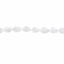 Fil de perles de nacre blanche, Diamètre 8x12 mm, Trou 0.6 mm, environ 32 perles / fil 15 ~ 16"