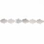 Perles de nacre blanche en forme de palmier, Diamètre 8?10mm, Trou 0.7 mm, 40 perles/brin