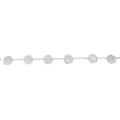 Rouleau de perles de nacre blanche, Rose, Diamètre 6 mm, Trou 0.6 mm, 15 perles/ruban
