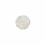 Perles de nacre blanche naturelle en forme de rose demi-percée, 8mm, trou 0.9mm, 20pcs/pack