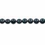 Perles nacrée galvanoplastie couleur noire ronde plate sur fil Taille 13mm trou 1.0mm Environ 33perles/fil 15~16"