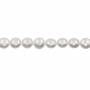 Electroplated White Shell Pearl Beads Strand Button Flat Round Diameter 12mm Thickness  8mm Hole 1mm 33 Beads/Strand 15~16"