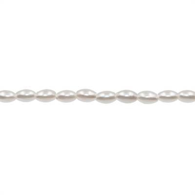 Perles nacrée blanche galvanoplastie  en forme de tonneau sur fil Taille 3x5mm trou 0.6mm Environ 81perles/fil 15~16"