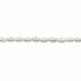Muschel weiße galvanische Perlenkette  Eimer  3x5mm  Loch 0.6mm  ca. 81 Stck / Strang 15~16"