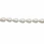 Electroplated White Shell Pearl Beads Strand Teardrop Size 8x11mm Hole 0.8mm 36 Beads/Strand 15~16"