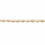 Muschel gelbe galvanische Perlenkette  Wassertropfen  5x8mm  Loch 0.7mm  ca. 50 Stck / Strang 15~16"