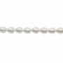 Muschel weiße galvanische Perlenkette  Wassertropfen  8x10mm  Loch 0.8mm  ca. 40 Stck / Strang 15~16"