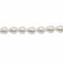 Perles nacrée galvanoplastie  couleur blanche  goutte sur fil Taille 10x12mm trou 0.8mm Environ 33perles/fil 15~16"