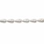 Electroplated White Shell Pearl Beads Strand Teardrop Size 10x18mm Hole 0.8mm 22 Beads/Strand 15~16"