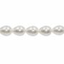 Perles nacrée blanche galvanoplastie en forme de goutte sur fil Taille 12x16mm trou 1.5mm Environ 26perles/fil 15~16"