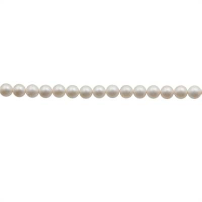 Perlas de Concha Nácar electrochapado Diámetro6mm Agujero0.8mm Aproxi 66cuentas/tira