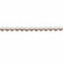 Muschel bunte galvanische Perlenkette  Durchmesser 10mm  Loch 0.8mm  ca. 40 Stck / Strang 15~16"