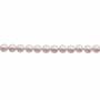 Série rouge Perles nacrée ronde sur fil Taille 10mm de diamètre trou 1.0mm  Environ 40perles/fil 15~16"