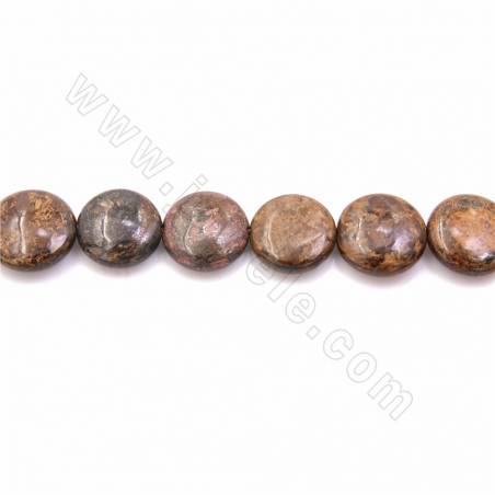 Grânulos Pedra de Bronzita Natural, Redondo plano, Diâmetro 20mm, Grosso 6mm, Orifício 1.2mm, Comprimento 15~16"/pç