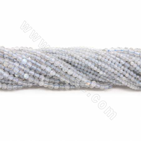 Perles de Labradorite ronde facette sur fil Taille 2-3mm trou 0.3mm 15~16"/fil