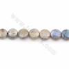 Rouleaux de perles de Labradorite électrodéposées, Ronde plate (à facettes), Taille 9mm, Trou 0.7mm,Longueur 15~16"/rangée