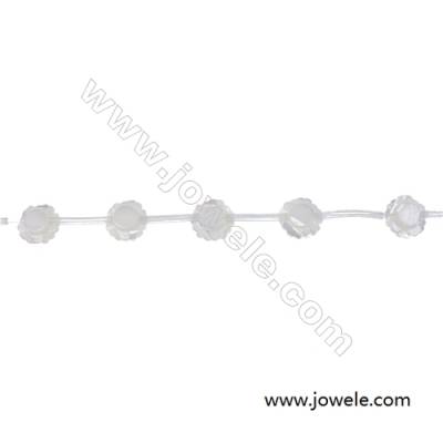 White mother-of-pearl rose-shaped  12mm strand beads  hole diameter 0.7mm 15 beads /strand