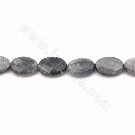 Rouleaux de perles en pierre naturelle d'oeil d'aigle, ovale plat (facettes), taille 13x18mm,trou 1.2mm,15~16"/rangée