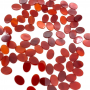 Natural Red Agate Cabochon Flat Oval 10x14mm 10pcs/Pack
