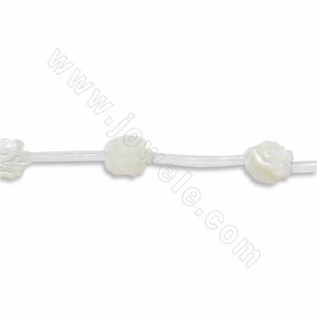 Natürliche weiße Muschel Perlen Strang, Doppelseite Rose, Größe 10x10mm, Loch 1mm, ca. 15 Perlen / Strang 15 ~ 16 "