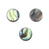 Abalone/Paua Shell Cabochon Flat Round Diameter8mm 10pcs/Pack