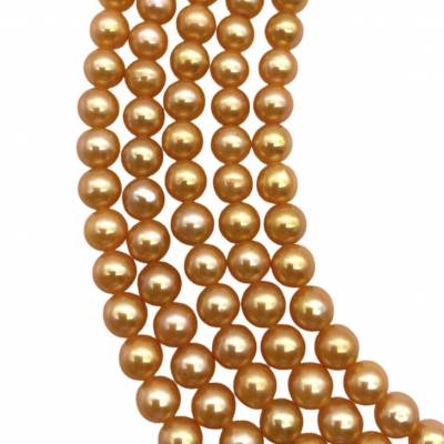 染色金色淡水珍珠串珠 圓形 尺寸6-7毫米 長度39-40厘米/條