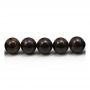 Rouleaux de perles en pierre naturelle de bronzite, ronde, taille10mm, trou 1mm, 15~16"/rangée